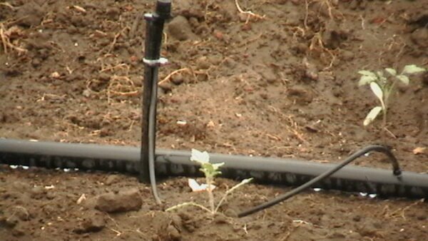 MICROASPERSOR Microaspersor / goteo