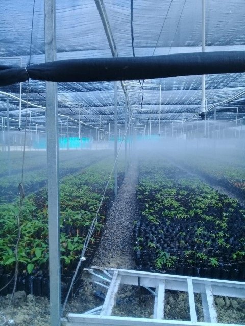 Ajustador de presion